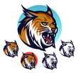 Angry lynx head emblem