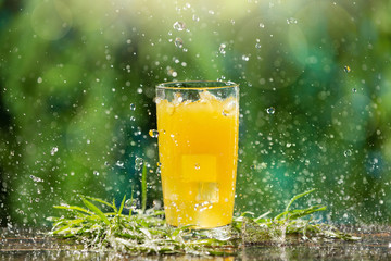 tall glass with a yellow drink and tarragon on the boards, on the background of greenery, drops of water, a lot of splashes and solar lighting