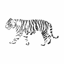 Graphic Black Tiger On A White Background.