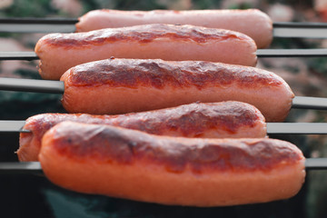 Side view of five sausages with crispy fried crust on skewers grilled on hot coals