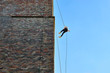 Young woman in silhouette, abseiling from a large old tower against a blue sky. Concept of achievement and success. Image with copy space. 