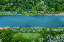 Top View Of Summer Green Trees With A River