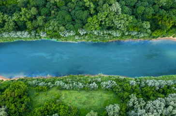 top view of summer green trees with a river