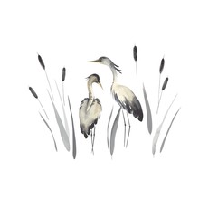 Herons In Oriental Style With Cattails, Wildlife Illustration, Vector Isolated In Vintage Watercolor Style.