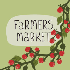 Farmers market card and banner, label design. Fun hand drawn lettering text and tomato vine on green background. Organic, healthy food concept. Flat vector illustration.