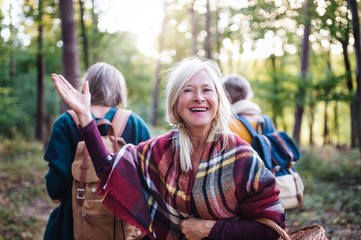 Wall Mural - Senior women friends walking outdoors in forest.