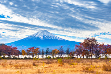 Wall Mural - Japan. Autumn landscape with lake Kawaguchiko. Mountain Fujiyama on the background of the sky. Yagizaki Park in fall day. Colorful trees on the background of Mount Fuji. Nature Japan.