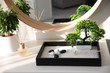 canvas print picture - Beautiful miniature zen garden on white table indoors