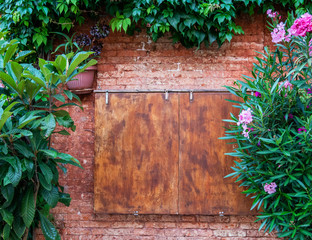 Wall Mural - Old wooden box on a vintage brick wall with flowers in Venice