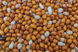 Background of many grains of dried beans. Brown beans texture. Food background.