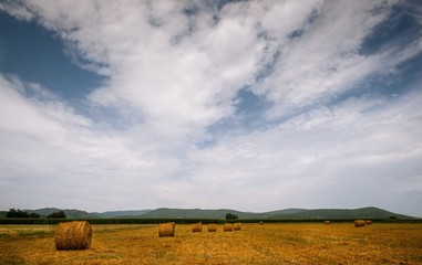 Canvas Print - Field covered in hay surrounded by mountains under a cloudy sky and sunlight