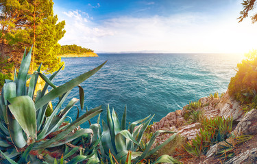 Wall Mural - Beautiful sunset above Adriatic sea and coastline in Makarska.