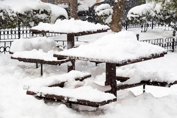 Poster - Scenery of a park covered in white fluffy snow