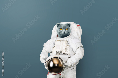 Fotografía Funny cat astronaut in a space suit with a helmet on a gray background