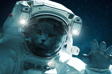 Wall Mural - space cat in a spacesuit with hand on a background of the starry sky. beautiful cat in outer space. 