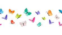 Color Flying Butterflies Seamless Pattern. Beautiful Insects Isolated On White Background. Spring Summer Seasons Butterfly Vector Border Design