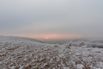 Wall Mural - Fog winter landscape