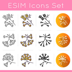 Poster - Brazilian flora icons set. Linear, black and RGB color styles. Ipe tree. Plumeria. South american plant. Botany. Tropical blossom. Isolated vector illustrations