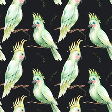 Watercolor White Parrot Seamless Pattern. Vintage Floral Texture