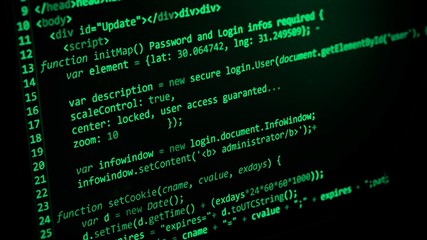 Wall Mural - computer code programming coding process