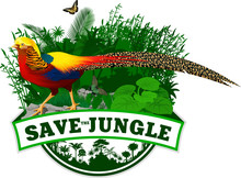 Vector Jungle Rainforest Emblem With  Golden Pheasant 