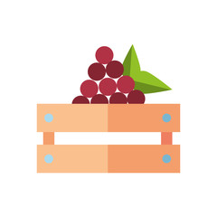 Poster - grapes fresh fruits in wooden basket