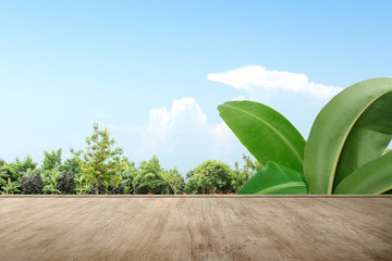 Poster - Wooden floor with green trees and banana leaf