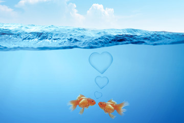 Wall Mural - Underwater view with two goldfish in love and heart symbol in the water