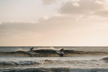 Canvas Print - Beautiful shot of two people surfing on the beach