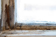 Ice and condensation damage to an old wood window frame in winter in a humid home in a cold climate