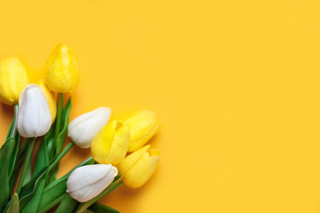 Wall Mural - background of spring flowers for card for the holiday. women's day. selective focus. horizontal. top