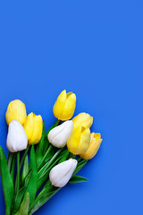 Wall Mural - background of spring flowers for card for the holiday. women's day. selective focus. vertical. top v