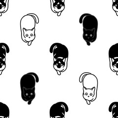 Wall Mural - Seamless pattern with cute black and white cats. Texture for wallpapers, stationery, fabric, wrap, web page backgrounds, vector illustration