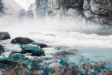 Beautiful Mountain River Landscape. Blue Flowers And Stones Boulders In A Clean Fast Sprinkling Foamer Mountain River Stream In The Fog Against The Background Of Rock And Snow Trees. Artustic Image.