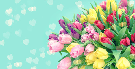 Poster - Tulip Flowers hearts turquoise background toned