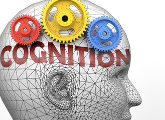 Cognition and human mind - pictured as word Cognition inside a head to symbolize relation between Cognition and the human psyche, 3d illustration