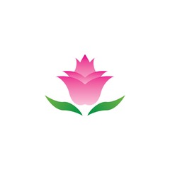 Wall Mural - Vector illustration icon of beautiful tulips with white background