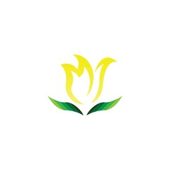 Wall Mural - Vector illustration icon of beautiful tulips with white background