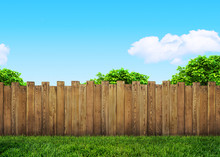 Tree In Garden And Wooden Backyard Fence With Grass