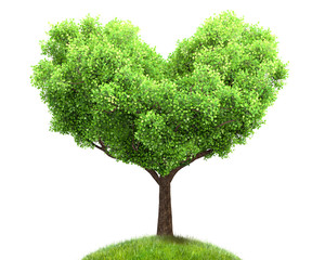 Wall Mural - green tree in heart shape 3D illustration, environment concept