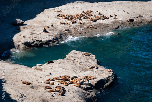 Fotografía A colony of sea lions on the rocks at the Valdes Peninsula, in Argentina, South