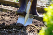 Gardener in a garden is digging a bed with spade on a sunny summer da