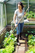 Woman in a greenhouse in the garden at gardening and plant care