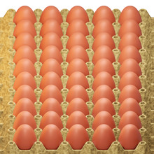 3D Illustration Of Fresh Brown Chicken Eggs In Cardboard Pallet Made Of Recycled Paper. Square Cardboard Packaging With The Production Of Poultry Farm For Delivery.