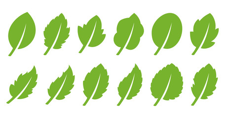 Wall Mural - Green leaf set