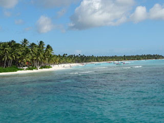 beach and tropical sea