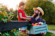 © shangarey - Children little girl holding father a basket of fresh organic vegetables with the home garden.