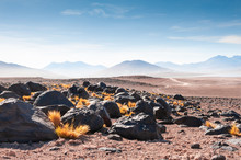 Volcanoes In The Desert On Plateau Altiplano, Bolivia. South America Landscapes