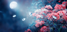 Magical Fantasy Enchanted Fairy Tale Landscape With Fabulous Fairytale Blooming Pink Rose Flower Garden And Flying Butterflies On Blurred Mysterious Blue Background And Shiny Glowing Moon Ray In Night