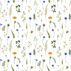 Wall Mural - Beautiful floral summer seamless pattern with watercolor hand drawn field wild flowers. Stock illustration.